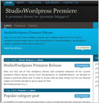 Studio Wordpress Premiere