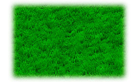 Трава в Photoshop