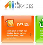 Trial Services
