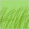 Травянистое поле